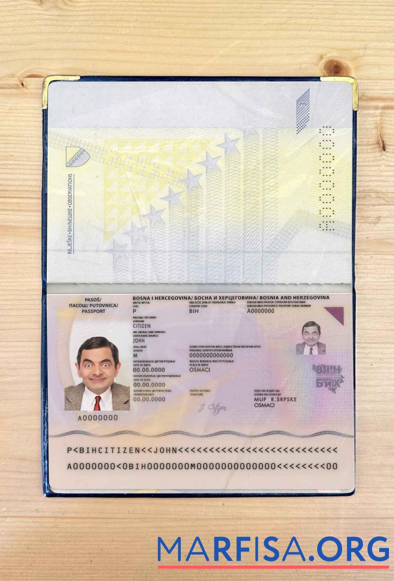 Realistic Bosnia & Herzegovina passport photo look download for verification